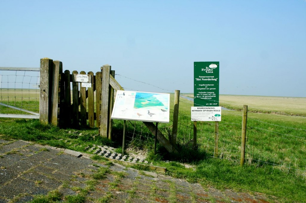 Waddendijk
